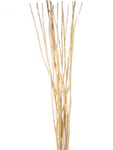 Floristik24 Dekostäbe, Elephant Reed gebleicht 20 St
