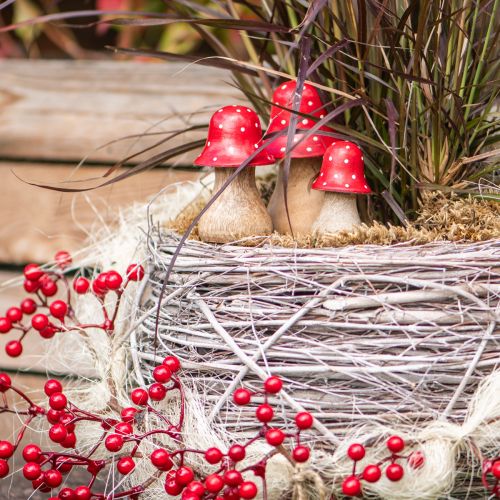 Artikel Deko-Set Holzpilze Fliegenpilz rot weiß für Herbst und Advent