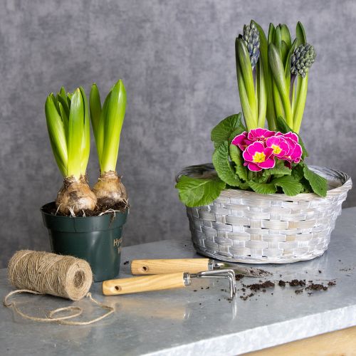 Artikel Geflochtener Korb als stilvolle Blumendekoration im Wohnbereich 23cm 6St