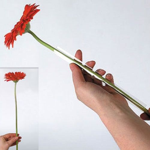 Artikel Gerbera Schlauch Abschnitte 13mm, 1000 St