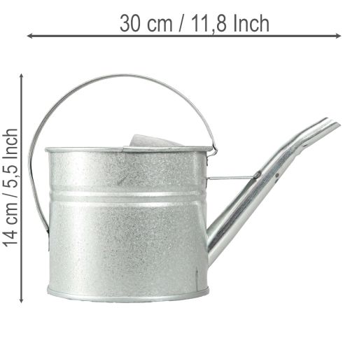 Artikel Metall-Gießkanne Vintage Silber 1,25 l als Pflanzgefäß