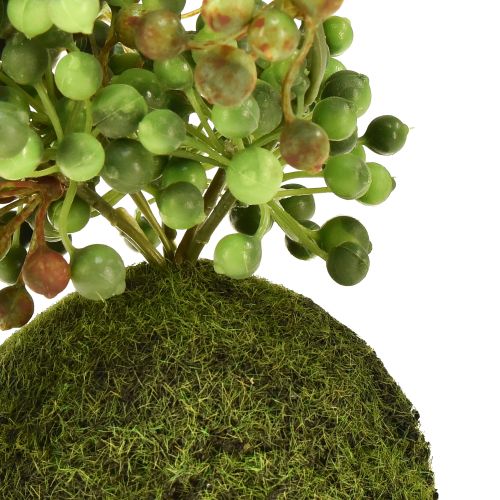 Artikel Grünpflanze künstlich Perlenschnur im Moosball 38cm
