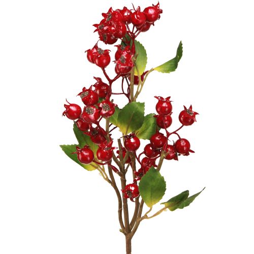Artikel Hagebutten Deko Zweig mit roten Früchten L60cm 2 St