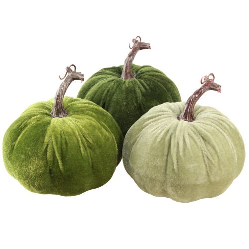 Floristik24 Herbstdeko Kürbis Hellgrün Grün Dunkelgrün Ø13cm 3 St
