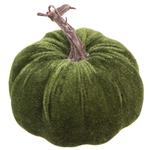 Floristik24 Herbstdeko Kürbis Hellgrün Grün Dunkelgrün Ø13cm 3 St
