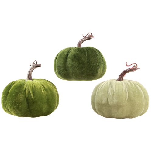 Floristik24 Herbstdeko Kürbis Hellgrün Grün Dunkelgrün Ø13cm 3 St