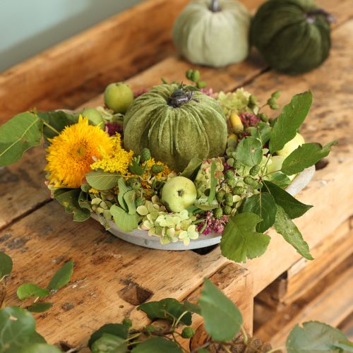 Floristik24 Herbstdeko Kürbis Hellgrün Grün Dunkelgrün Ø13cm 3 St
