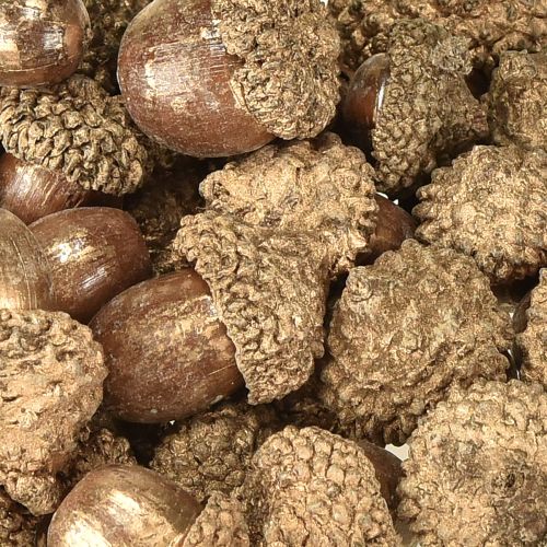 Artikel Herbstfrüchte Golden, festlicher Herbstschmuck, Deko-Eicheln natürlich, Adventsdeko Ø1,5 – 2,5cm L1,5 – 3cm 300g