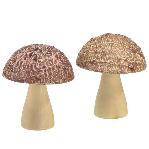 Floristik24 Holzpilze Deko Pilze Tischdeko Herbst Braun Natur 5×6cm 8 St