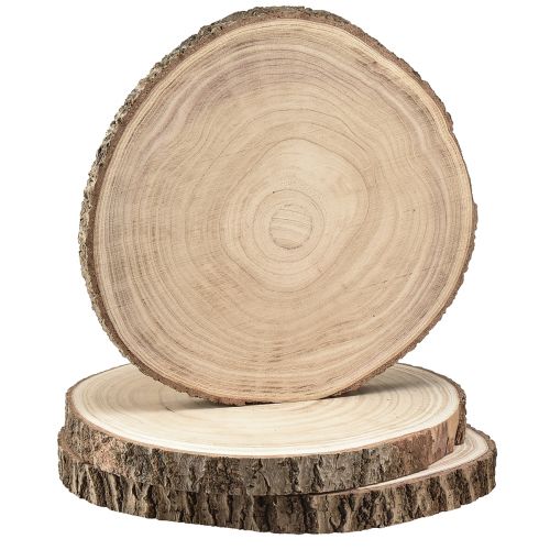 Floristik24 Holzscheiben Baumscheibe Paulownia Natur Ø26-28cm 3St