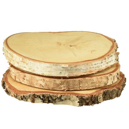 Floristik24 Holzscheiben Birkenholz mit Rinde Baumscheiben Ø20-22cm 3 St