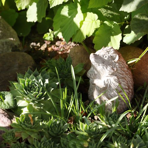 Igel Herbstdeko Figur Steinguss Weiß gewaschen H14,5cm