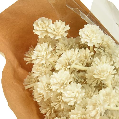 Artikel Künstliches Currykraut Weiß Beige L28cm 12 St 1 Bund