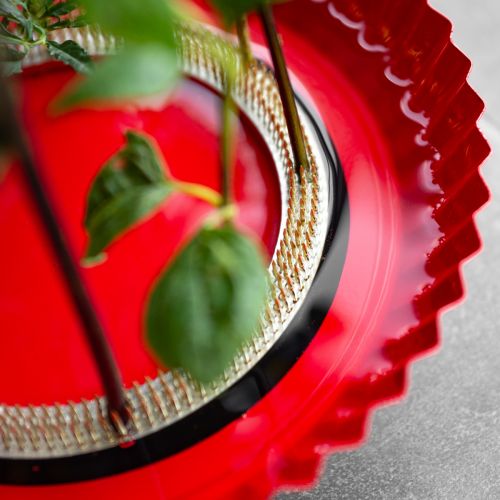 Artikel Kenzan Ring Steckhilfe Messingnadeln Steckhilfe Ø150mm