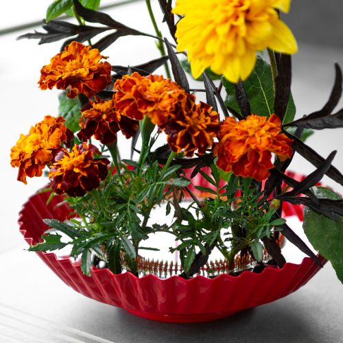 Artikel Kenzan Steckhilfe Ring mit Messingnadeln für florale Arrangements