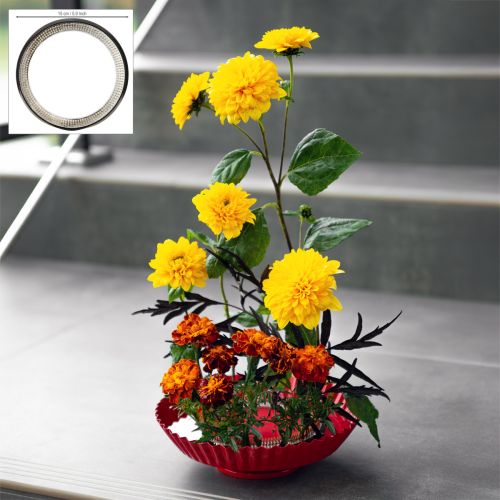 Kenzan Steckhilfe Ring mit Messingnadeln für florale Arrangements