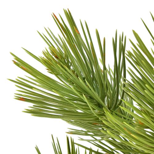 Floristik24 Kiefer im Topf Künstlich Mini Weihnachtsbaum Grün H72cm