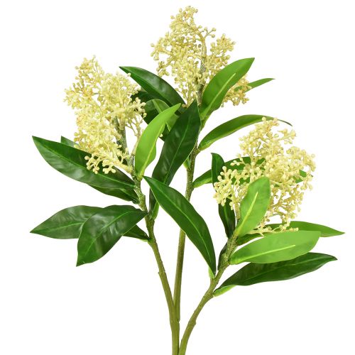 Floristik24 Künstliche Blumen Creme Skimmia japonica Skimmie 45cm 2St