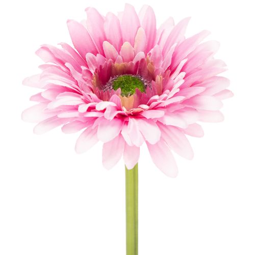 Künstliche Gerbera Blume aus Kunststoff Rosa 47 cm für Wohn- und Tischdekoration 6St bestellen | Floristik24.at