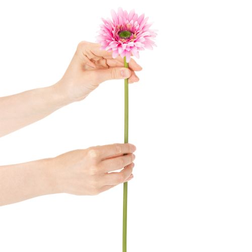 Künstliche Gerbera Blume aus Kunststoff Rosa 47 cm für Wohn- und Tischdekoration 6St | Floristik24.at