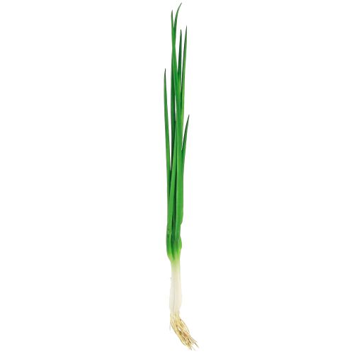 Artikel Künstliche Frühlingszwiebeln Deko Gemüse L30cm 4 St