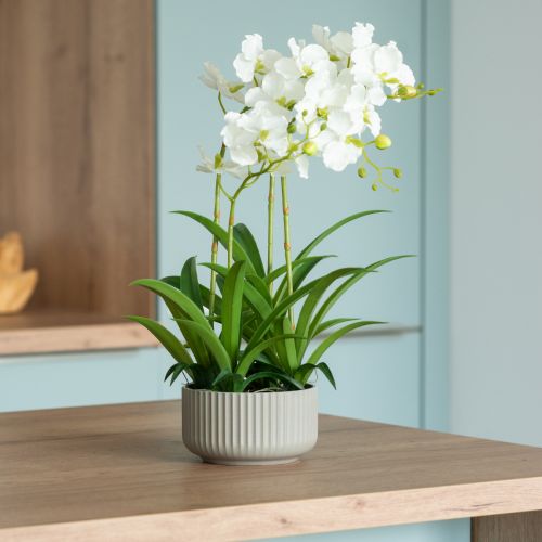 Floristik24 Künstliche Orchideen Kunstblumen im Topf Weiß 60cm