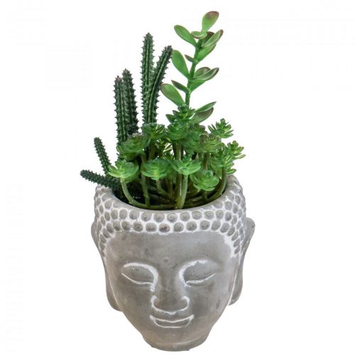 Floristik24 Künstliche Sukkulenten Blumentopf Buddha Ø12cm H24cm