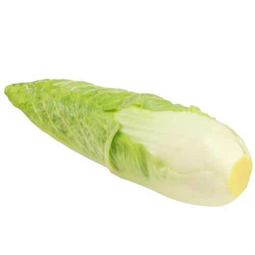 Artikel Künstlicher Spitzkohl Lebensmittelattrappe Ø5cm H18cm