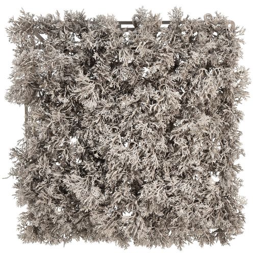 Floristik24 Künstliches Moos Realistische Moosmatte Kunstmoos Grau 25×25cm