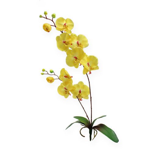 Floristik24 Künstliche Orchidee Gelb 68cm