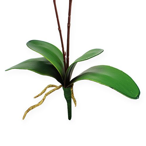 Floristik24 Künstliche Orchidee Gelb 68cm