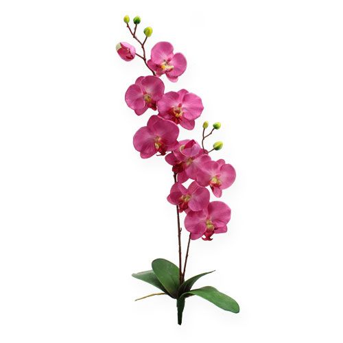 Floristik24 Künstliche Orchidee mit Blättern Pink 68cm