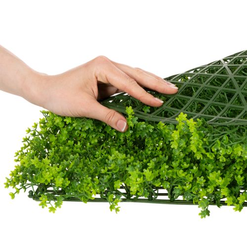 Künstliche Buchsbaum-Matte 55x55 cm aus grünem Kunststoff für dekorative Wandgestaltung | Floristik24.at