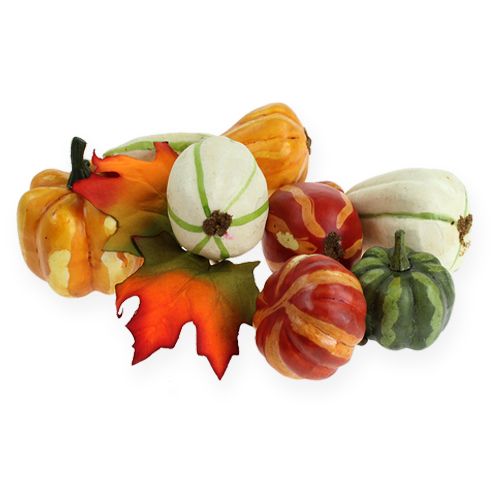 Kürbismix bunt 12St | Floristik24.at