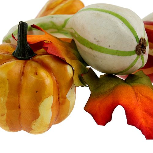 Kürbismix bunt 12St | Floristik24.at