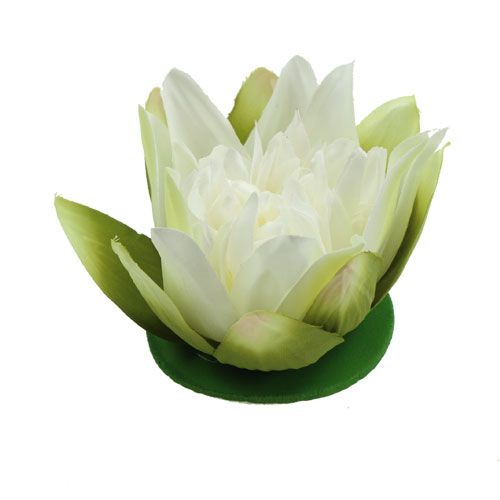 Floristik24 Künstliche Lotusblüte Creme 13cm 4St