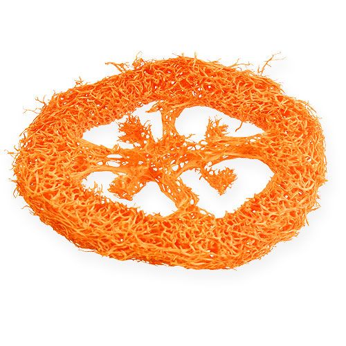 Floristik24 Luffa Scheiben Orange 25 St