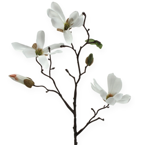 Floristik24 Deko-Zweig Magnolie 40cm Weiß 4St