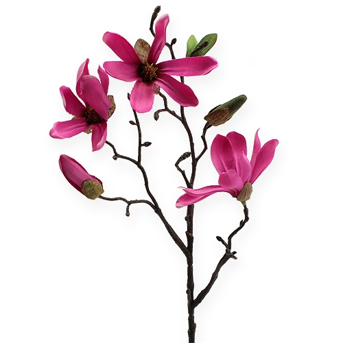 Floristik24 Magnolien Zweig Pink 45cm 4St