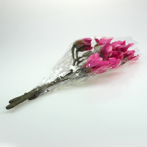 Floristik24 Magnoliezweig 45cm 3St