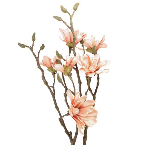 Floristik24 Magnolienzweig mit 6 Blüten Magnolie künstlich Lachs 84cm
