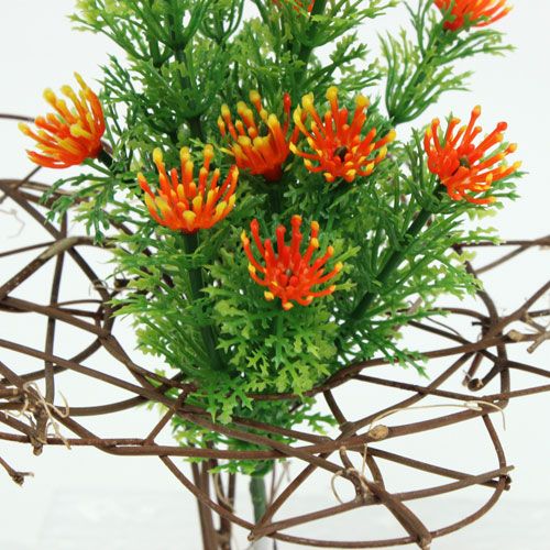 Floristik24 Rebenmanschette Ø15cm 8St