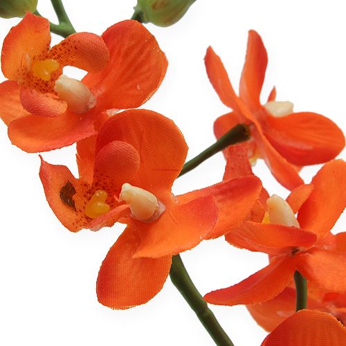 Floristik24 Mini-Orchidee Real Touch Orange 35cm