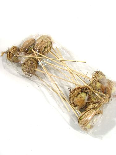 Floristik24 Vogelnest mit Eiern am Stab 6cm 6St