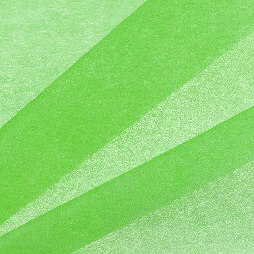 Floristik24 Deko Vlies 60cm x 20m Grün