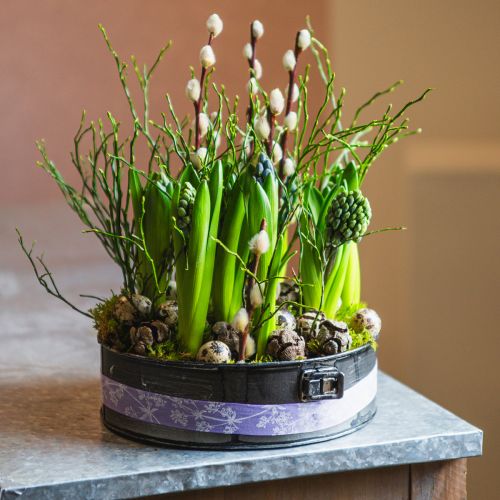 Floristik24 Pflanzgefäß, Deko-Backform, Springform zum Bepflanzen, Metalldeko Ø24cm H7,5cm