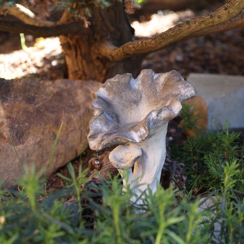 Pilz Deko Steinguss Figur Gartendeko Grau 18×16×25cm