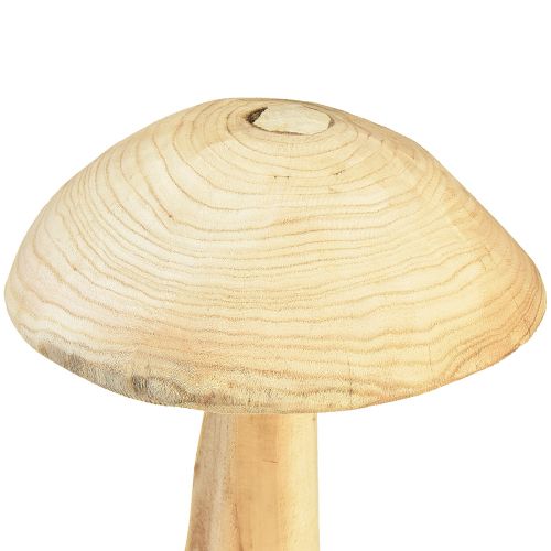 Floristik24 Naturgetreue Pilzskulptur aus Ulmenholz – Rustikales Design, 37 cm – Stilvolle Garten- und Innenraumdekoration