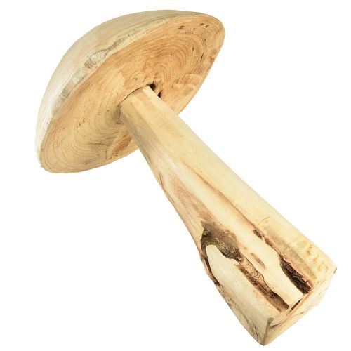 Floristik24 Naturgetreue Pilzskulptur aus Ulmenholz – Rustikales Design, 37 cm – Stilvolle Garten- und Innenraumdekoration