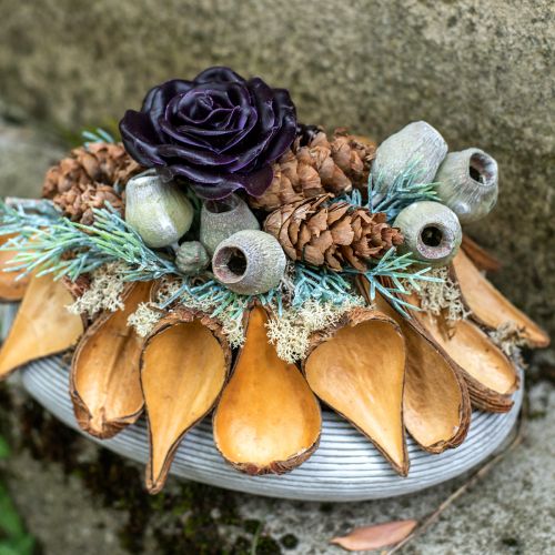 Floristik24 Frucht- und Samenkapsel Schoten Pradeep Pods 9-12 cm natur 50St